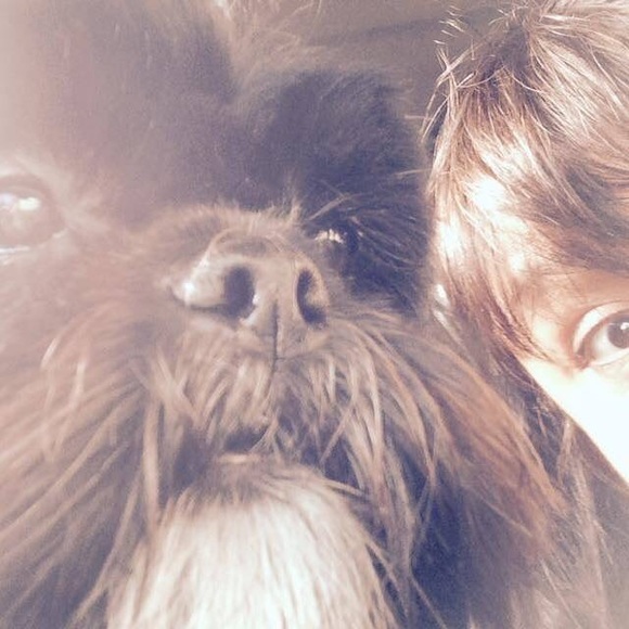 Meet your Posher, Rose - Picture 2 of 4